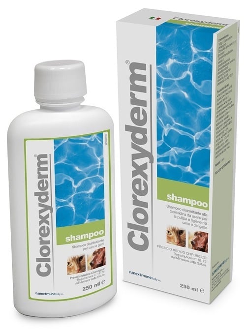 CLOREXYDERM*SHAMPOO 250 ML