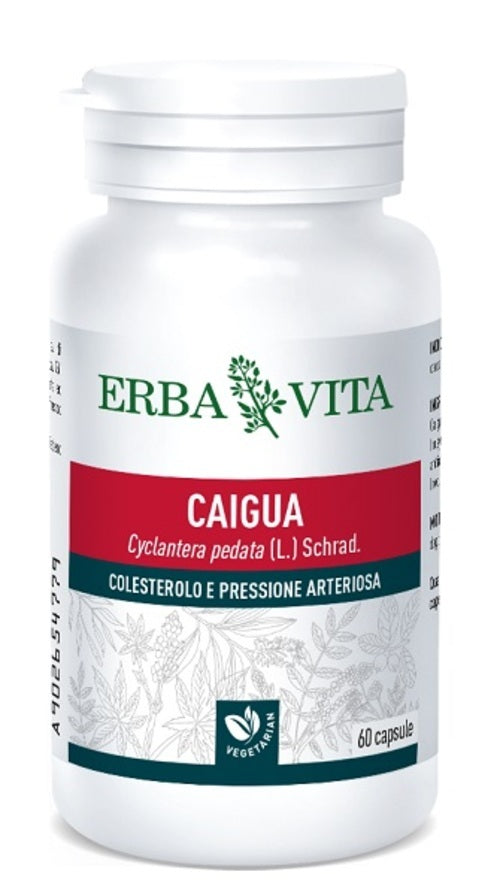 CAIGUA 60CPS 400MG ERBAVITA