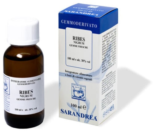 RIBES NIGRUM 100ML MG