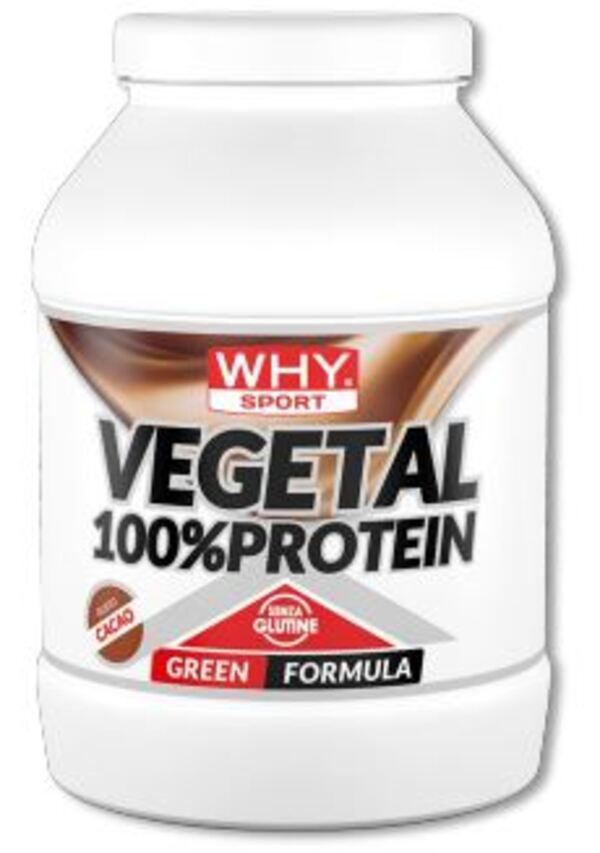 100% VEGETAL PROTEIN CACAO750G