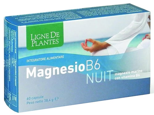 MAGNESIO B-6 NUIT 72CPS
