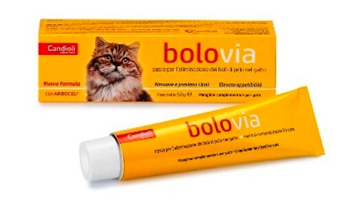 BOLO VIA PASTA GATTI 50G