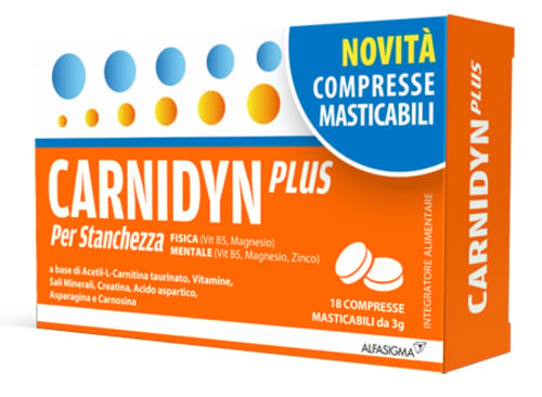 CARNIDYN PLUS 18CRP MASTICABIL
