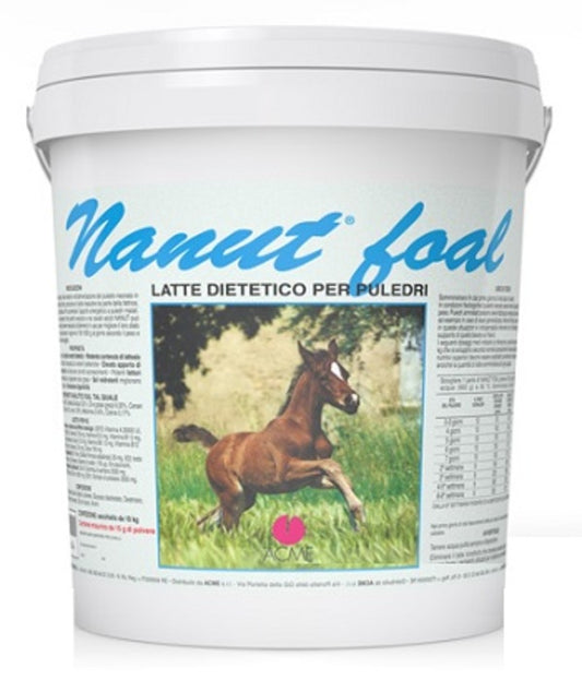 NANUT FOAL LATTE POLV. 5KG.
