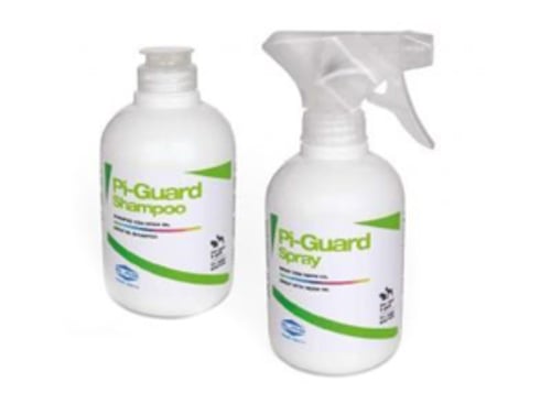 PI GUARD SHAMPOO 300ML