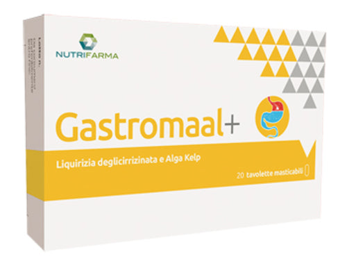GASTRO MAAL + 20TAV