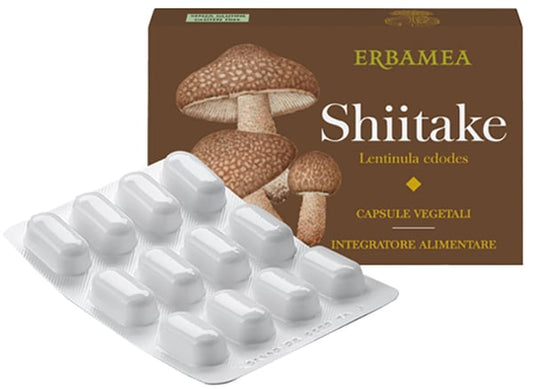 SHITAKE 24CPS VEGETALI