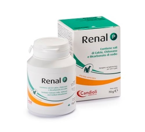 RENAL P 80G