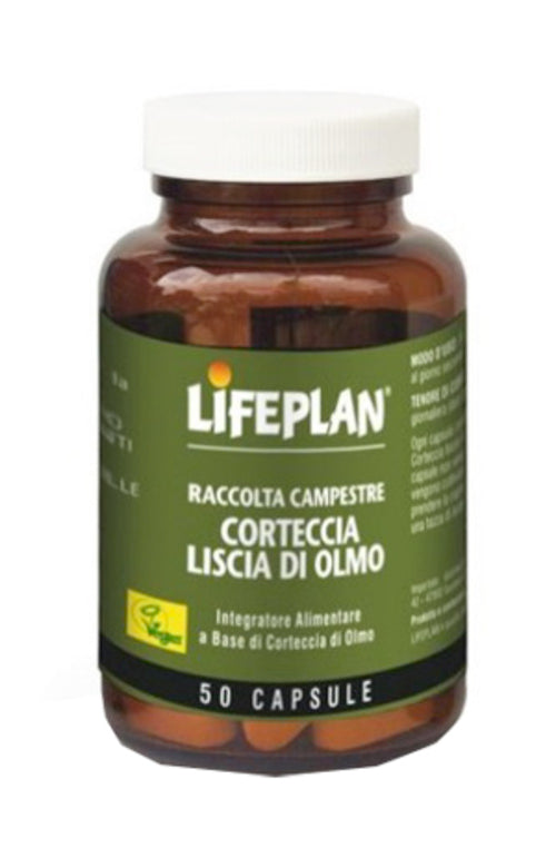 CORTECCIA LISCIA DI OLMA 50CPS