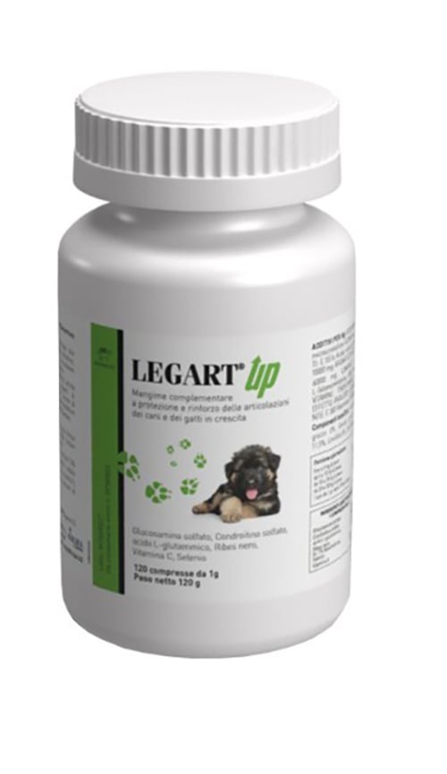 LEGART UP 120CPR