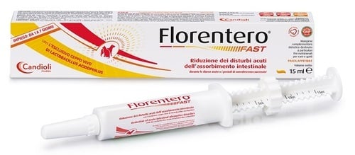 FLORENTERO FAST SIRINGA 15ML