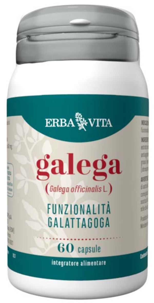 GALEGA 60CPS