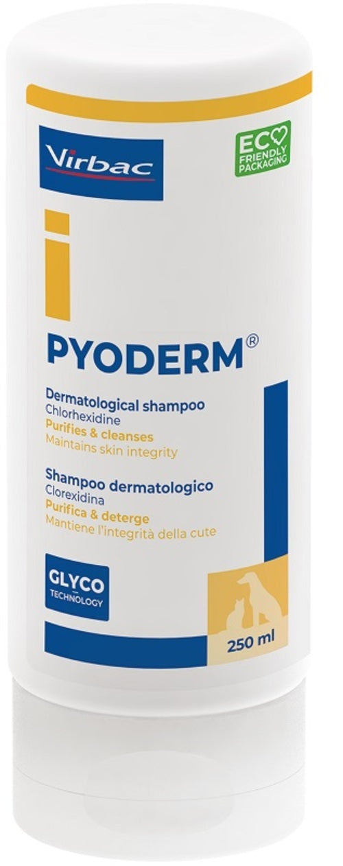 PYODERM SHAMPOO 250ML